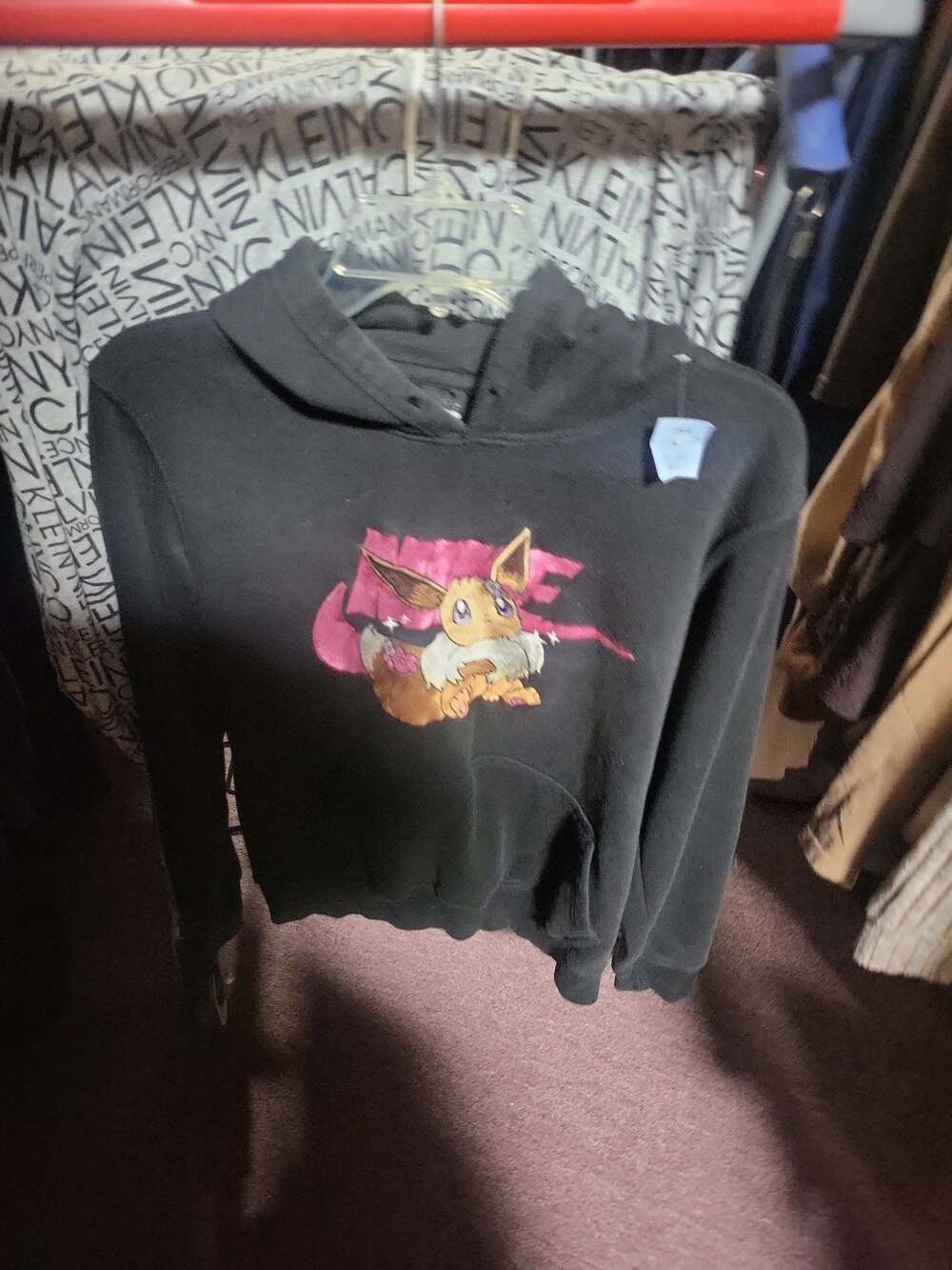 FloraLache Embroidered Eevee Pink Swish Custom Hoodie